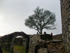 Löwenburg Ruine