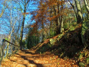 kurz vor dem ersten Ziel