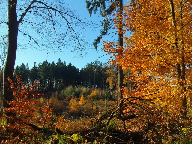 Siebengebirge Teil 2