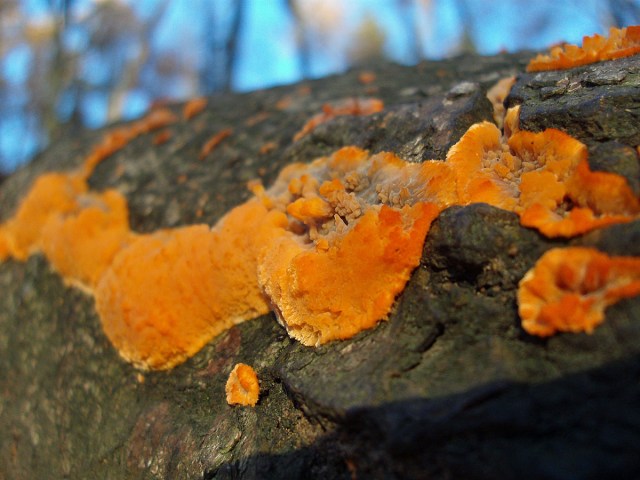 Zeit für Nahaufnahmen