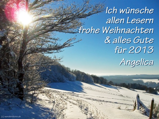 Frohe Weihnachten 2012