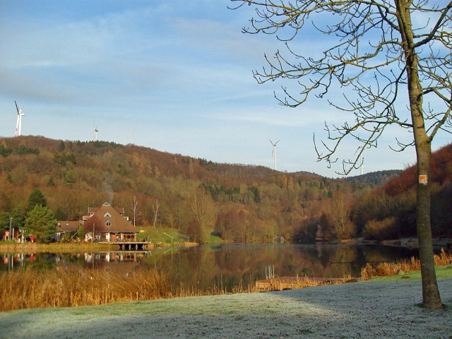 Blick auf den Waldsee