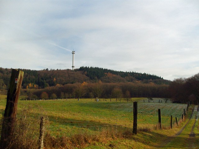 Wiesenwege und der Blick auf den Turm