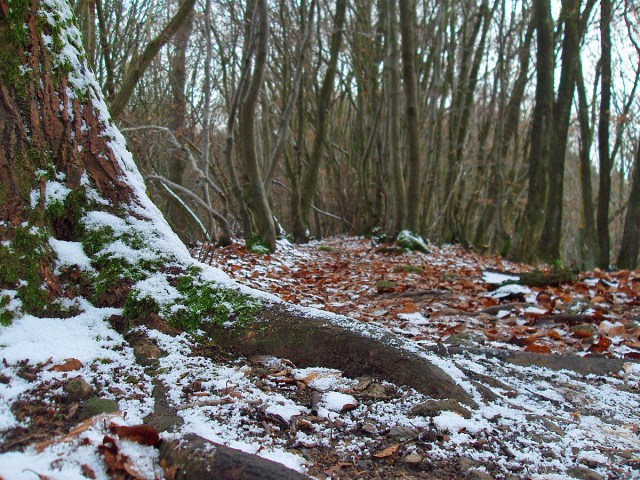 Am Gänsehals liegt weisser Graupel neben den Pfaden