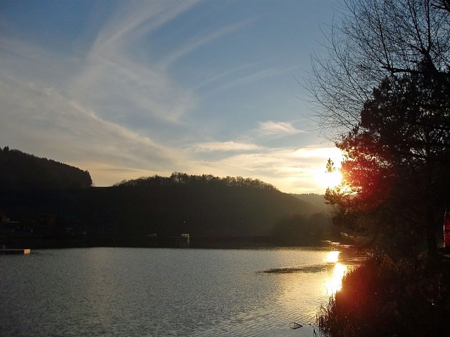 Lichtstimmung am Waldsee