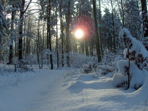 jungfräuliche Strecke