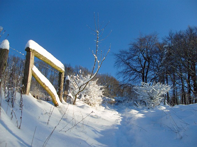 Blick zurück: Meine Spuren im Tiefschnee
