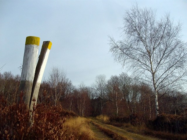 Gespaltene Persönlichkeit