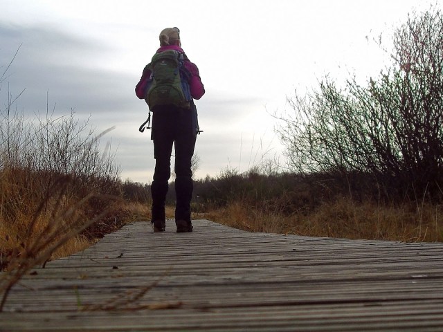 Stege begleiten mich