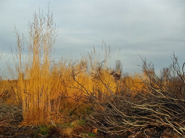 Landschaft voller Kontraste