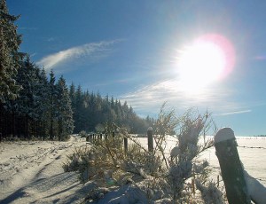 SAMSUNG DIGITAL CAMERA