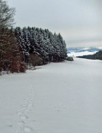 Spuren im Schnee
