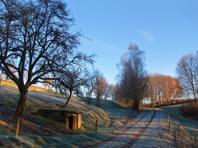 frostiger Wiesenweg