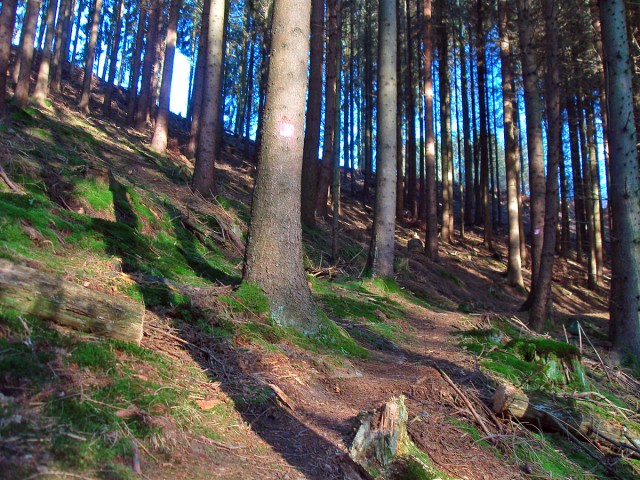 Blick zurück, dort ging es hinab