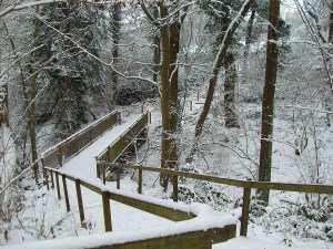 Brücke über den Wittgesbach