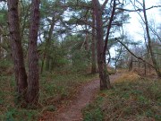 der Pfad geht rechts ab