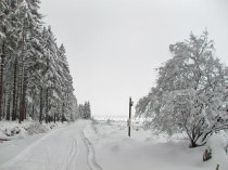 das kurze gespurte Stück