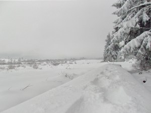 der erste Steg - Blick zurück