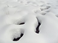 Wie ein Schweizer Käse, darunter ist Wasser