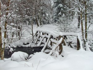 die Brücke - idyllisches Plätzchen