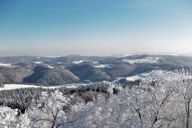 Blick auf das Heidegebiet