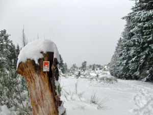 Es geht Richtung Heidbüchel
