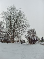 Blick zurück - steil gehts runter