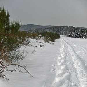 Blick zurück - Genügend Platz für eigene Spuren