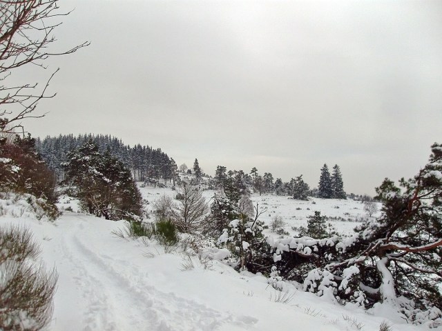 Dr. Heinrich-Menke-Park