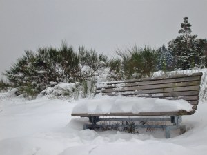 Die Bank der mutigen