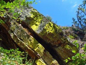 Gestein im Hohen Venn