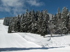 rechts gehts in die Einsamkeit
