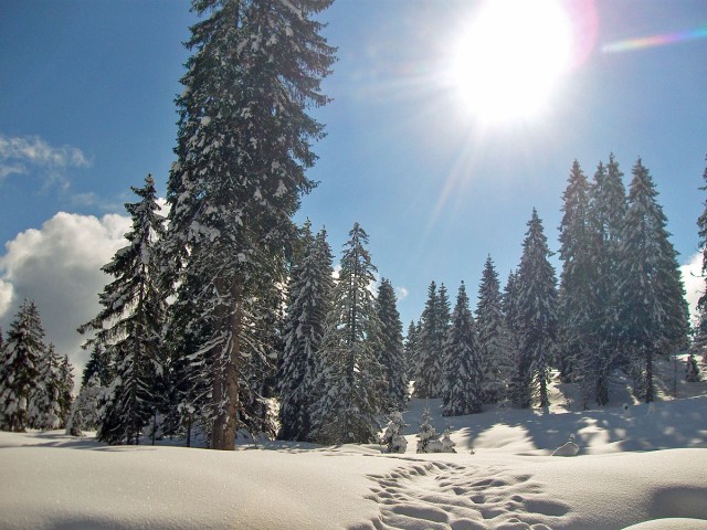 Wintertraum im Schwarzwald