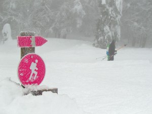 Am Schlepplift vorbei