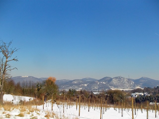 Blick auf das Siebengebirge