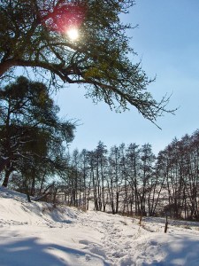 eingeschneite Feldwege