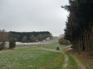 Blick zurück