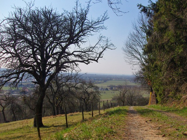 Blick zurück