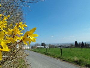 Weitblick an der Alanus Hochschule