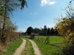 Wiesenweg nach dem Sportplatz