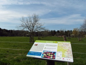 Infotafeln am Streuobstweg