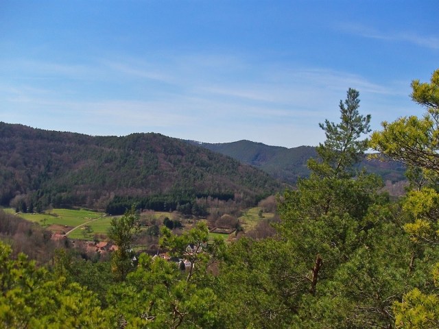 knisternde Zapfen und grüne Aussichten