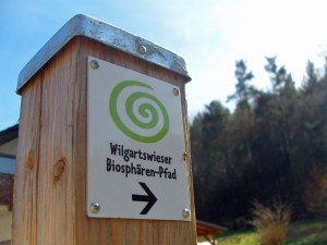 eine Ameise zum Empfang ;-)