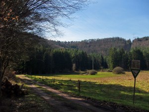 Naturschutzgebiet Tiergarten