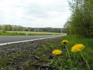 Schotterpfad neben Asphalt