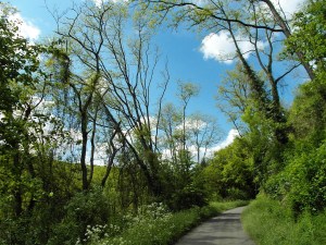 auf dem Weg ins Kasbachtal