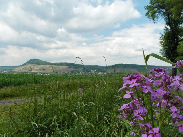 Blick auf die Landskrone