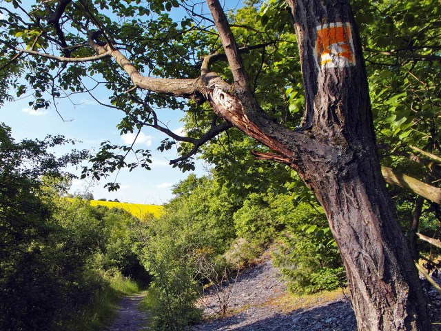 Pfad über Schiefergestein