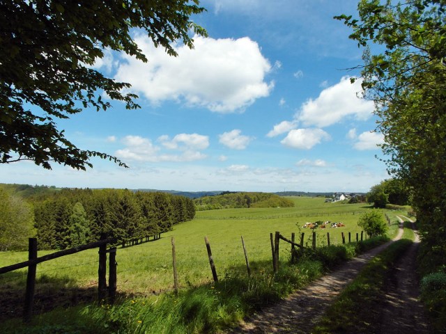 Feldwege bei Bronsfeld