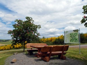 Start an der Mariensäule